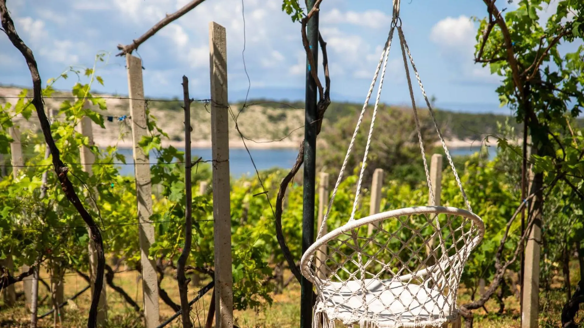 Holiday home Ecological Vineyard House Villa Banjol Croatia