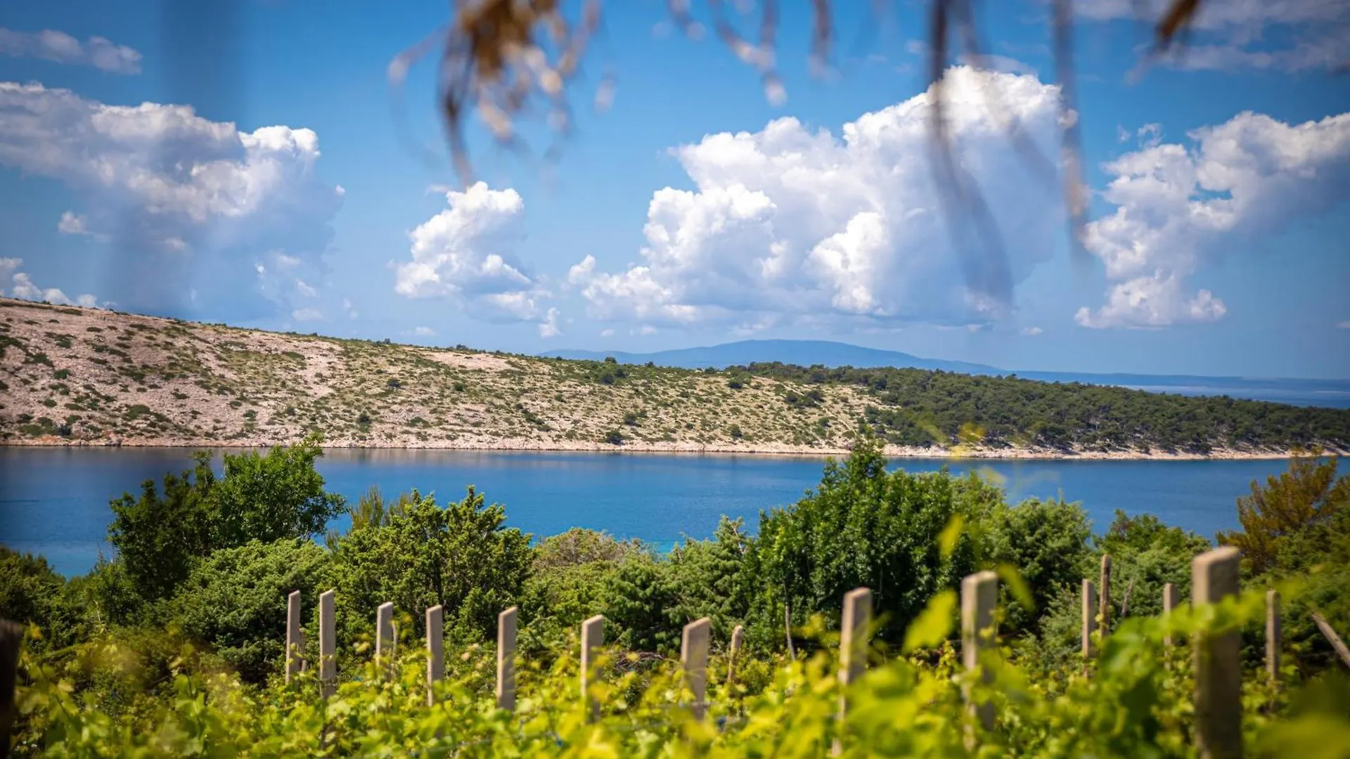 Willa Ecological Vineyard House Banjol