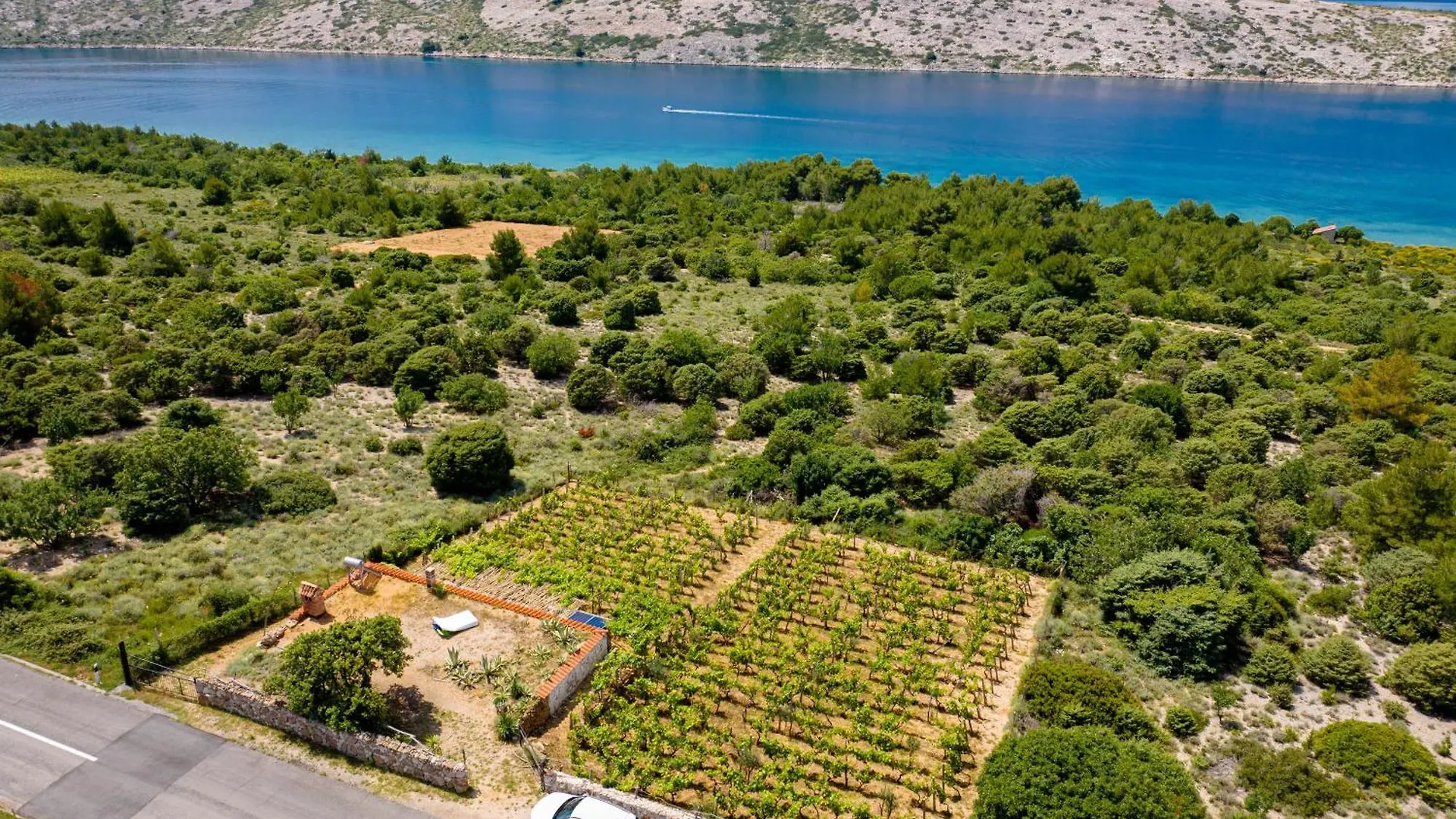 Willa Ecological Vineyard House Banjol