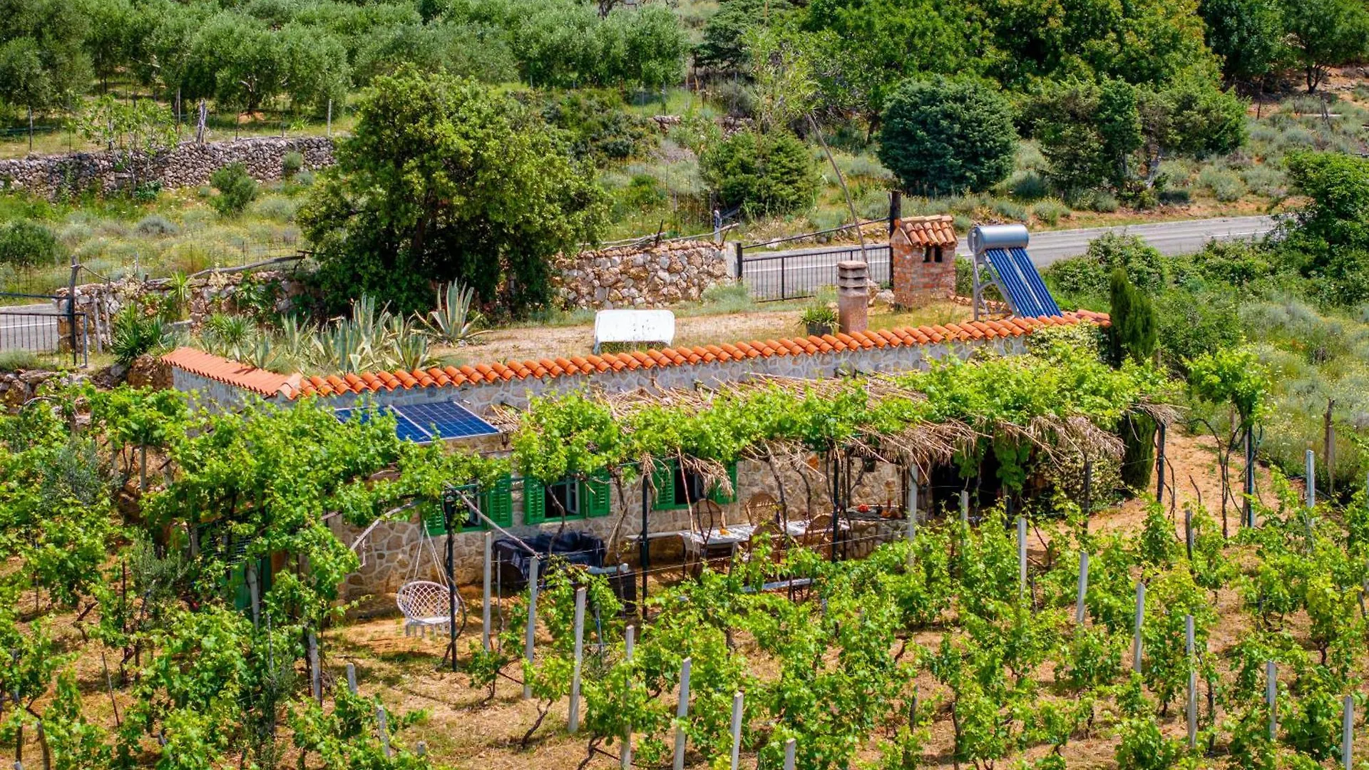 Willa Ecological Vineyard House Banjol