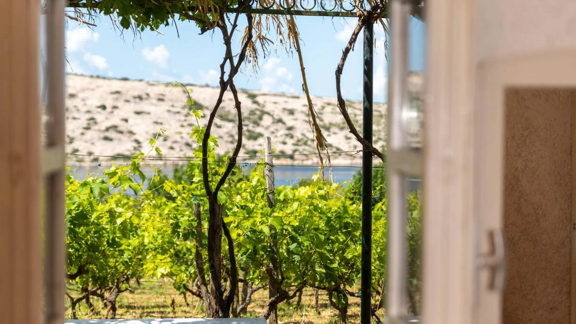 Willa Ecological Vineyard House Banjol 0*,