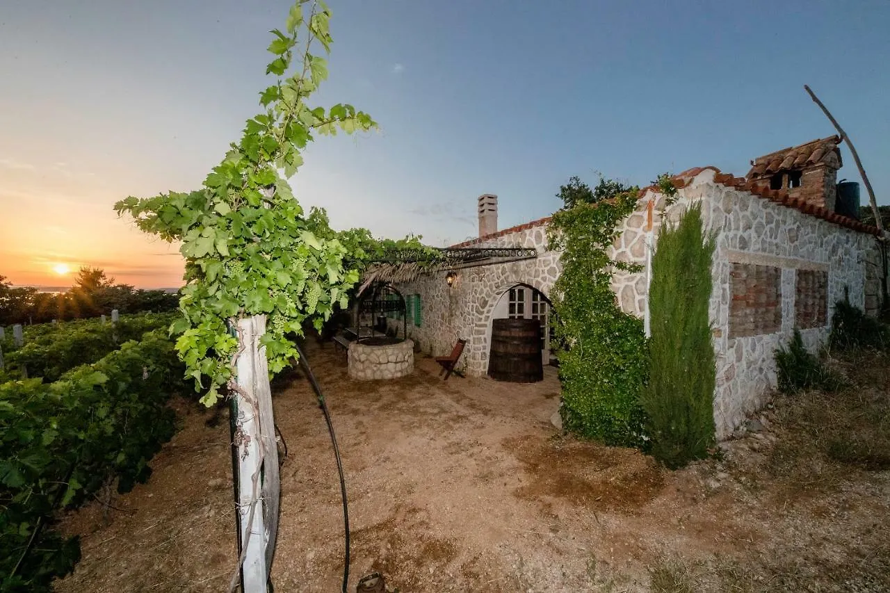 Willa Ecological Vineyard House Banjol