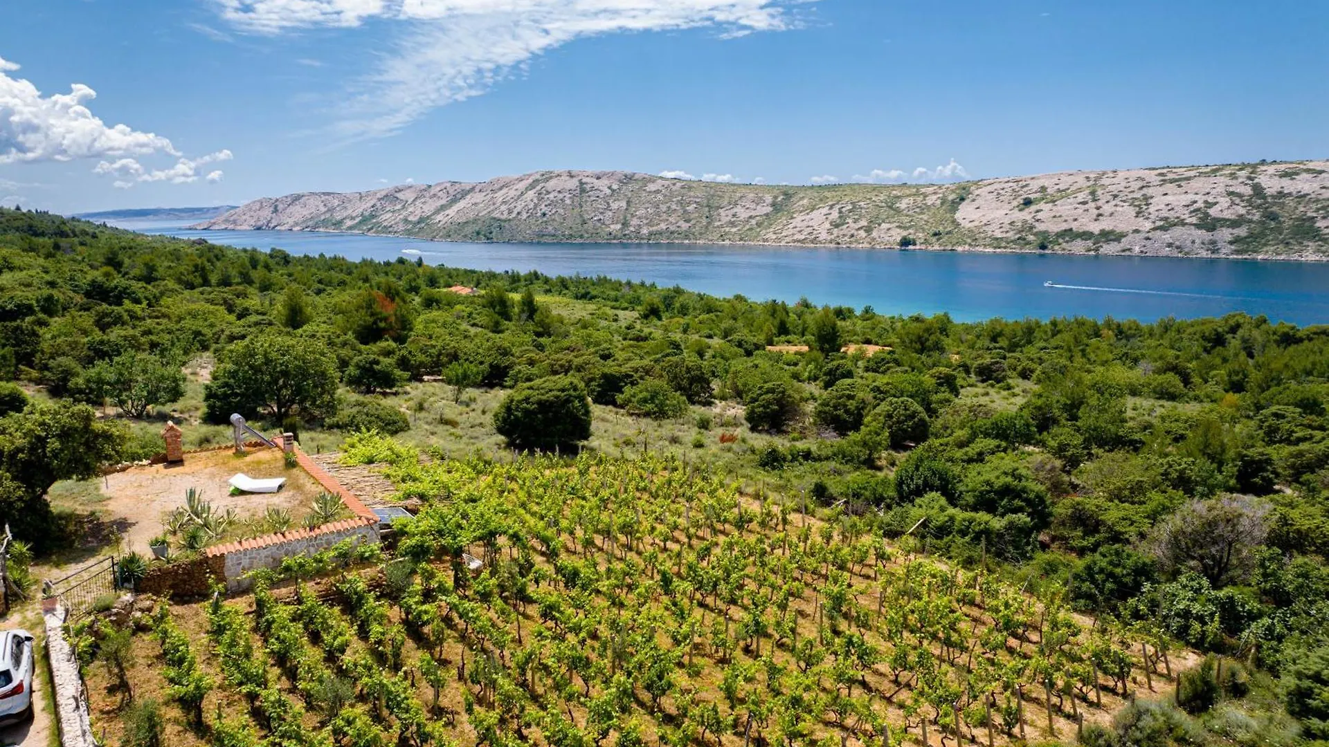Holiday home Ecological Vineyard House Villa Banjol