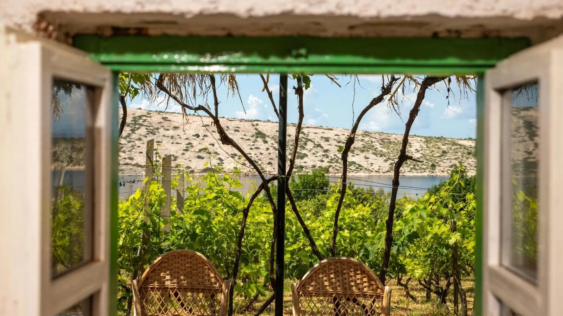 Ecological Vineyard House Villa Banjol Holiday home
