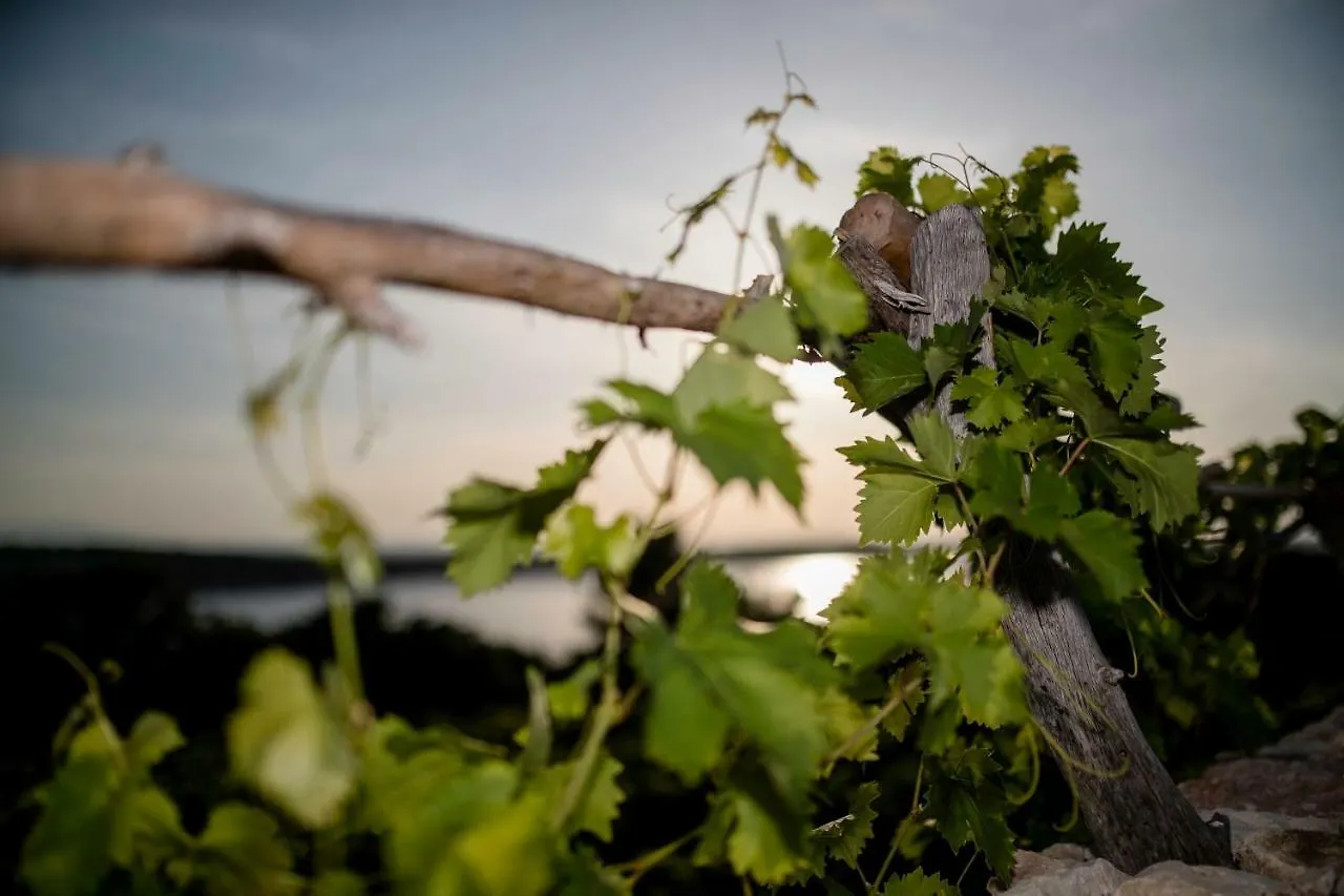 Ecological Vineyard House Villa Banjol Holiday home
